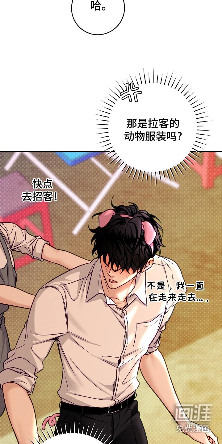 第98章：【番外】换号码了