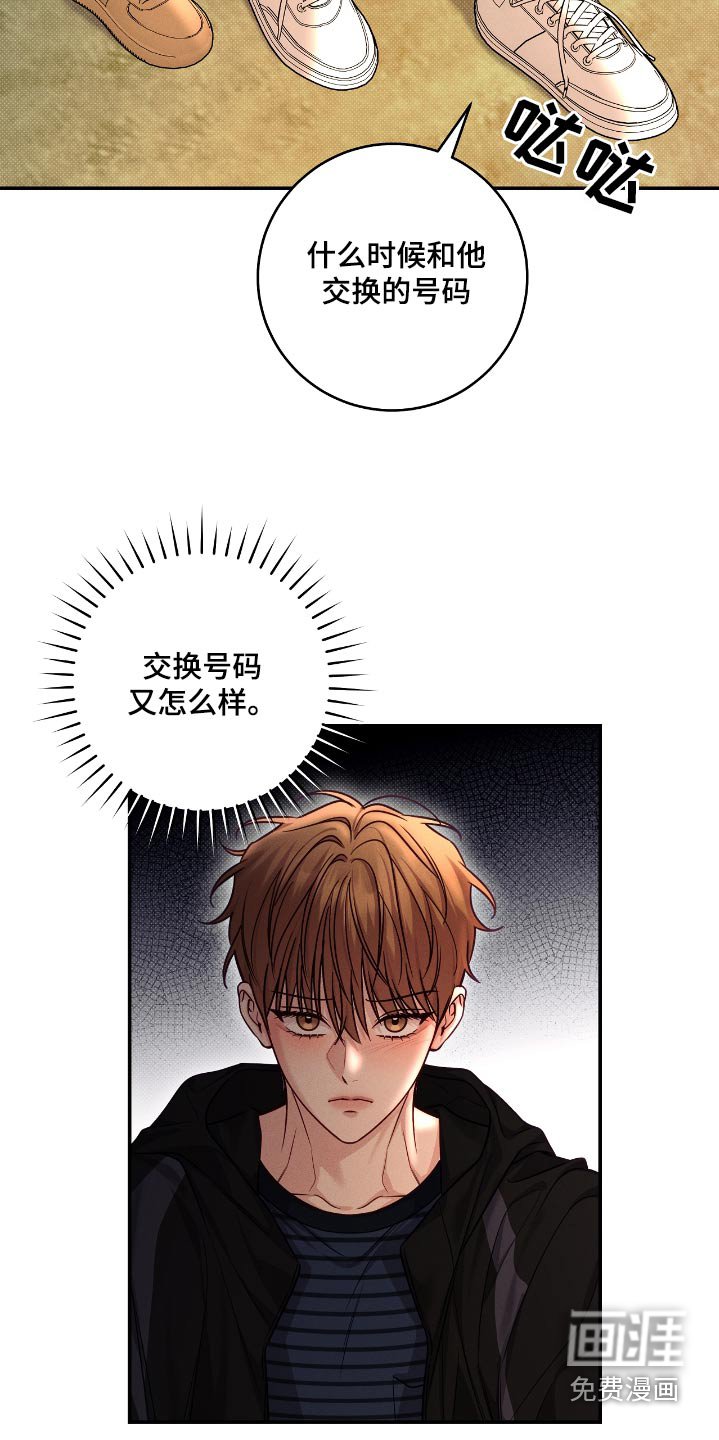 第98章：【番外】换号码了