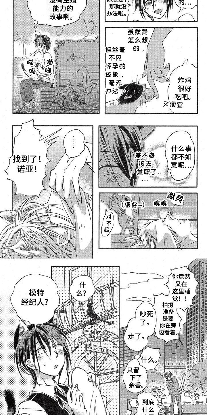 第1章：故事一：模特公司