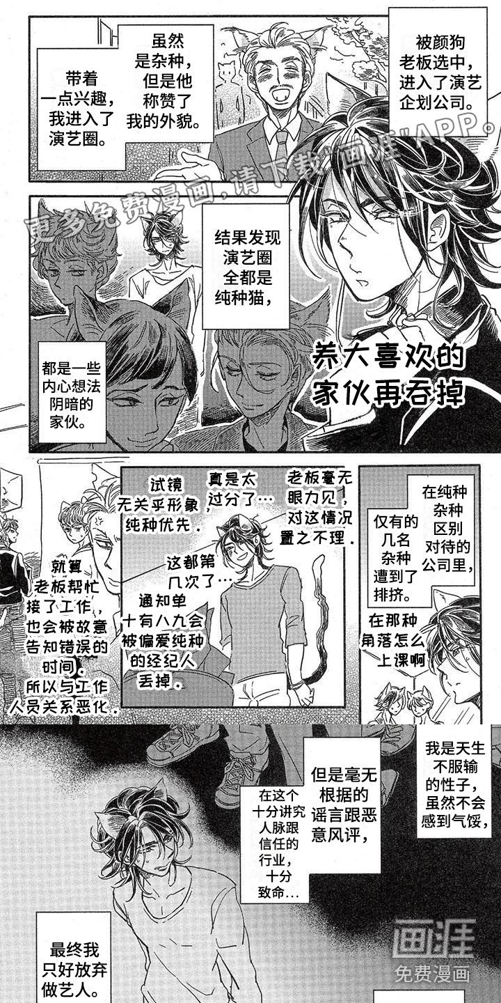 第4章：故事二：经纪人