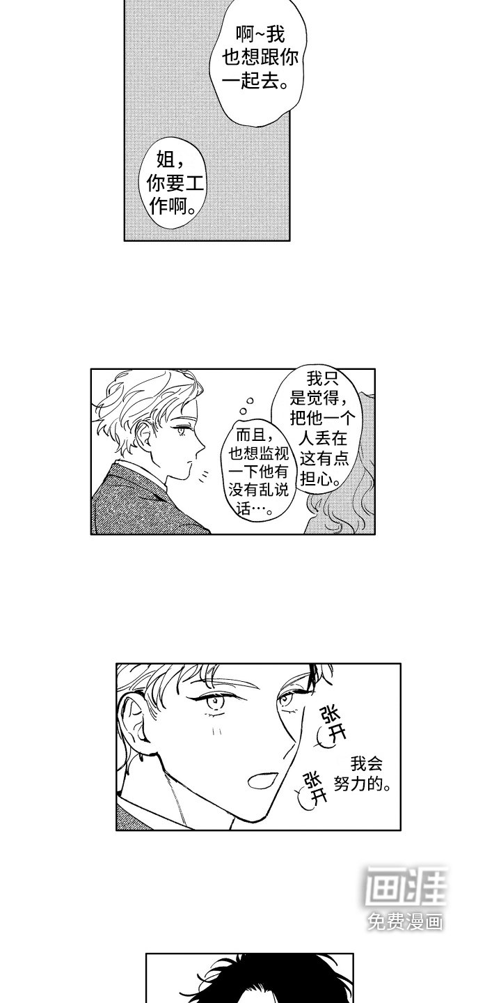 第11章：喜欢的类型