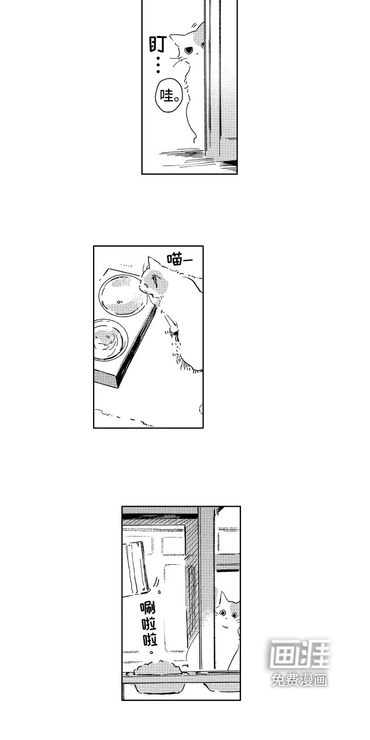 第25章：惊喜