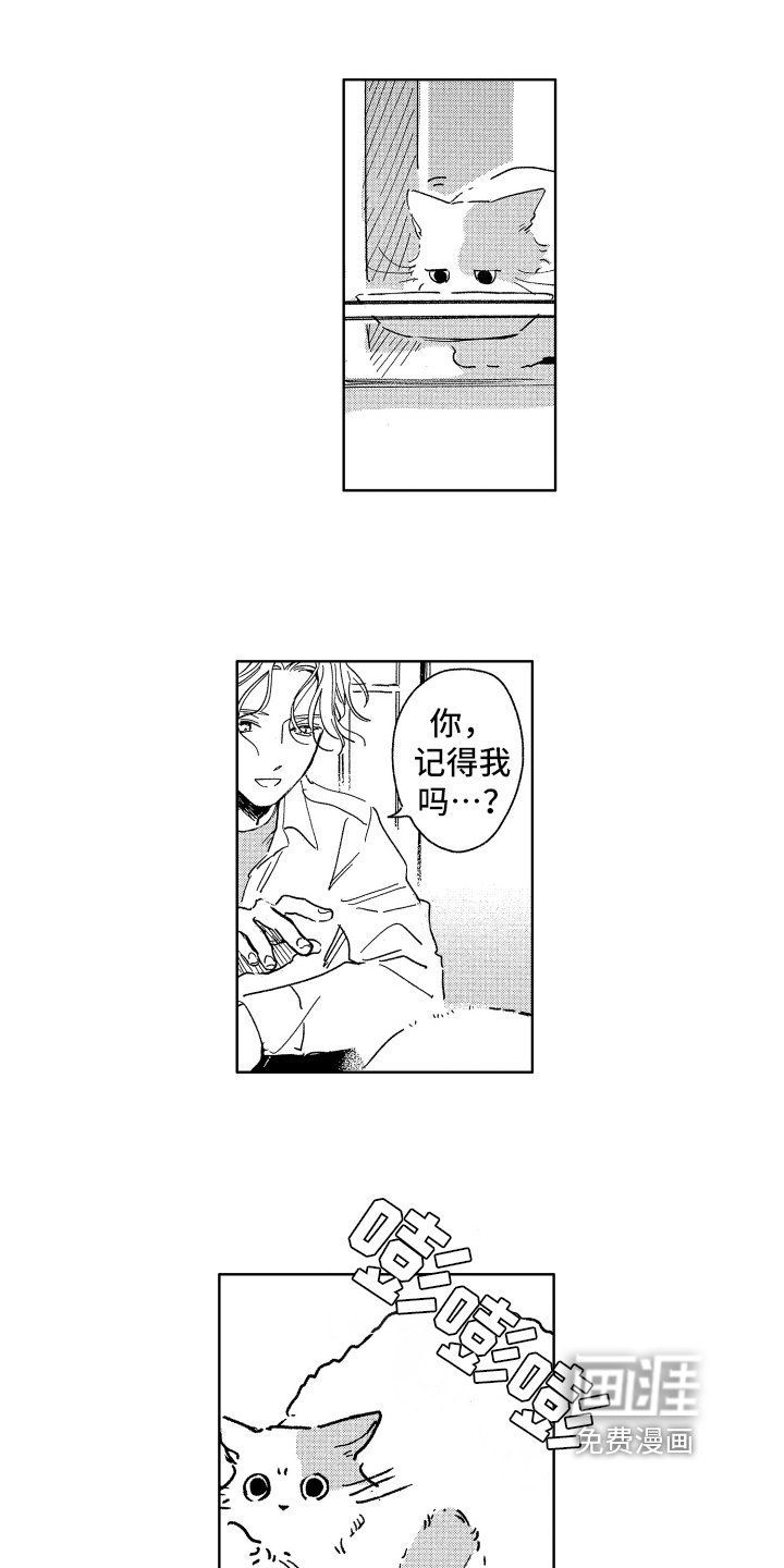 第25章：惊喜