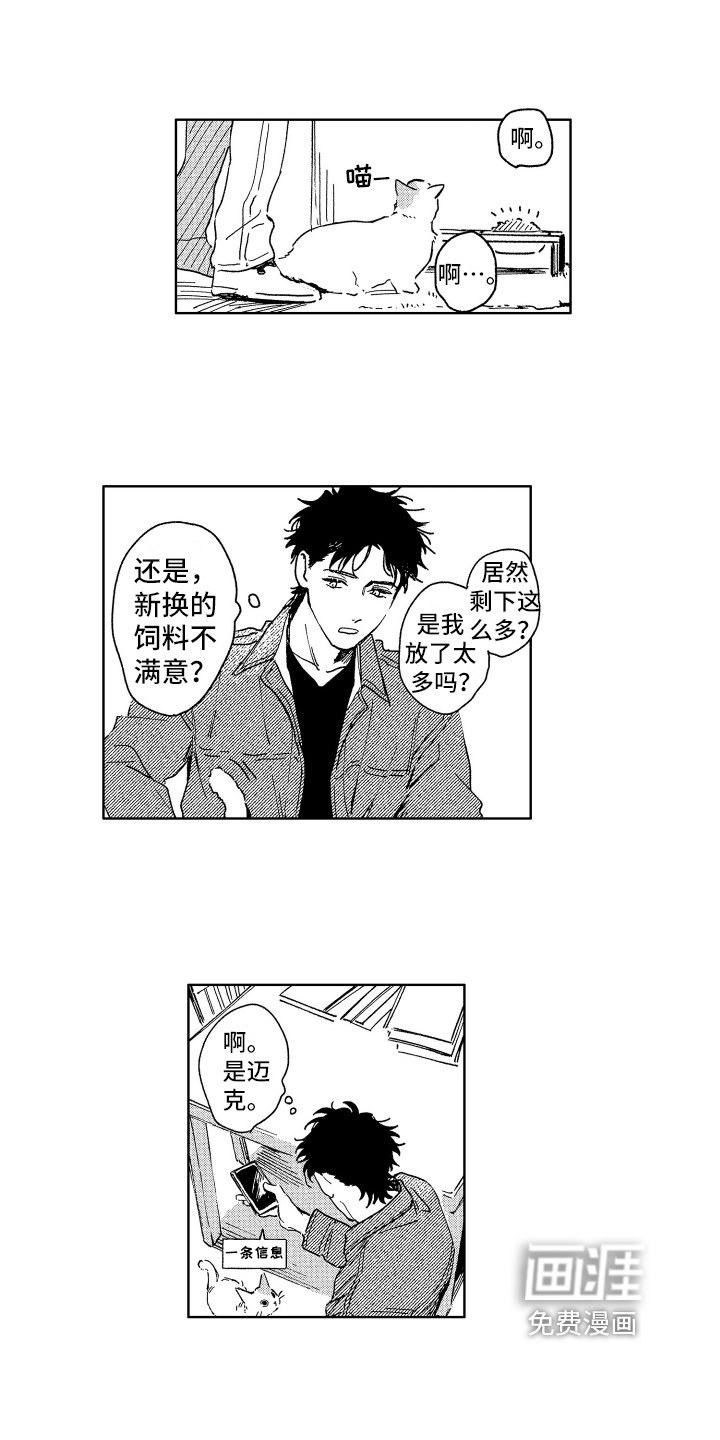 第25章：惊喜