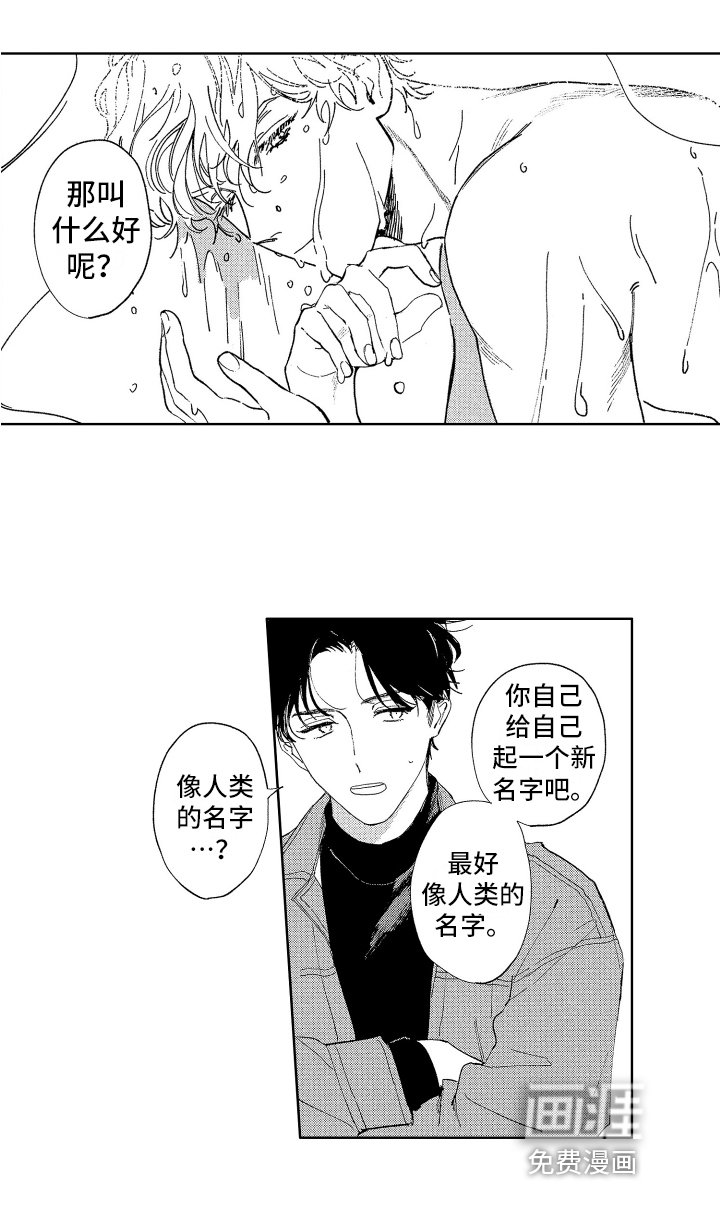 第4章：名字