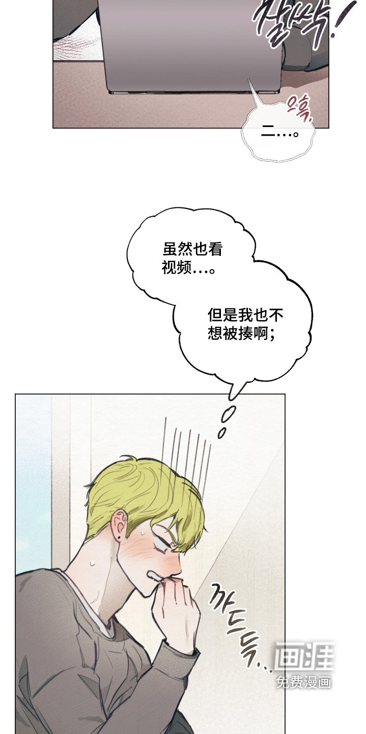 第13章：视频