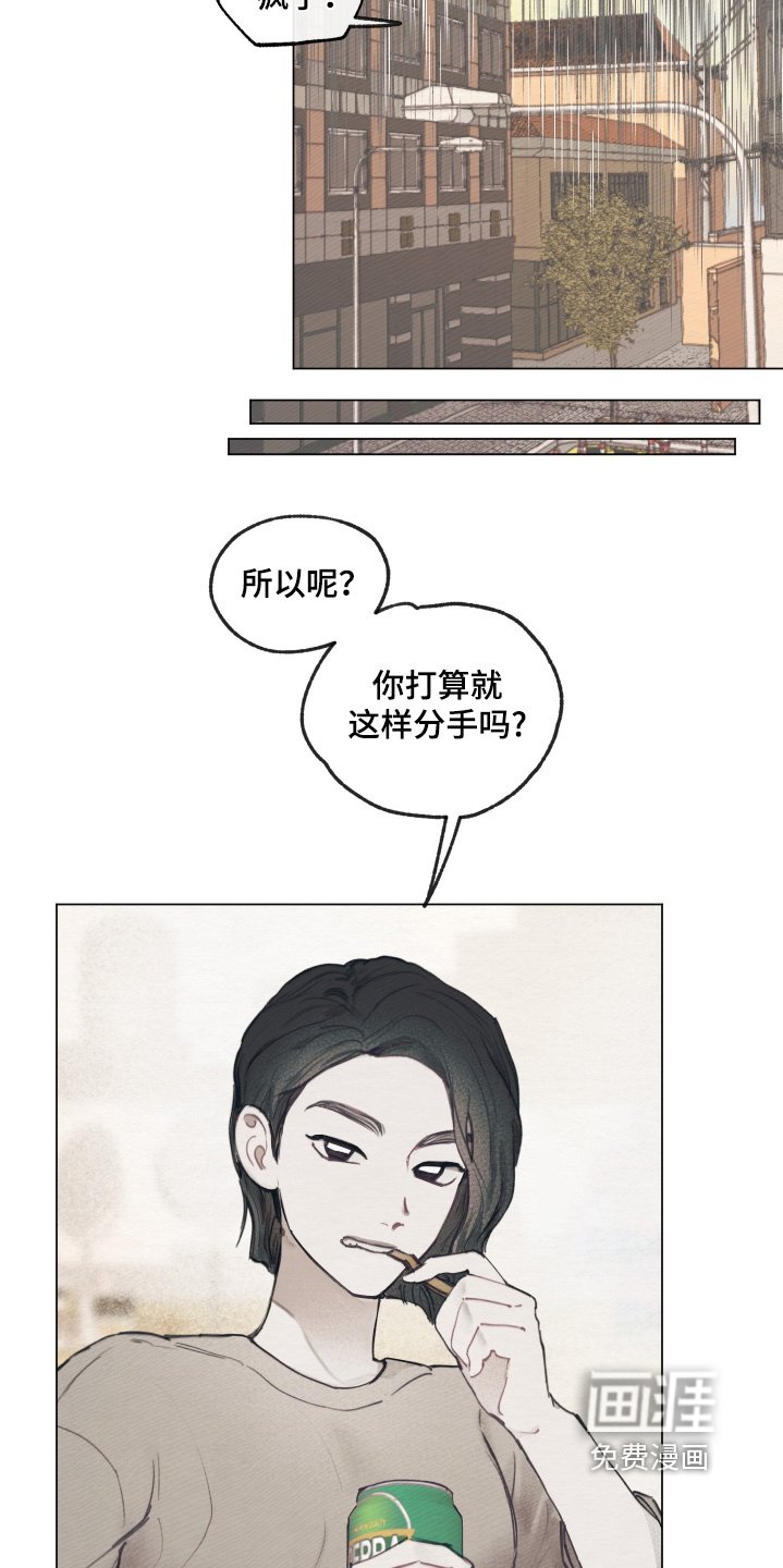 第13章：视频