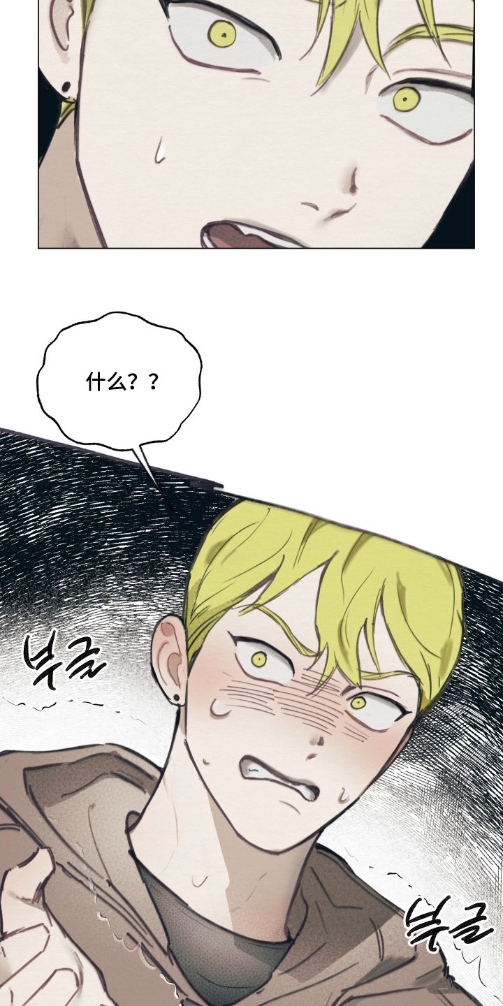 第16章：我们先走