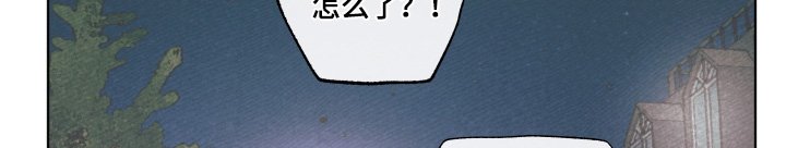 第19章：很爱你