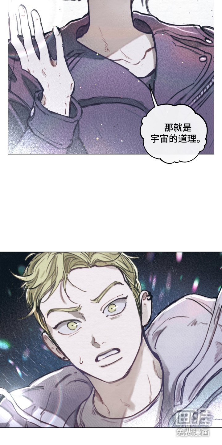第2章：一见钟情