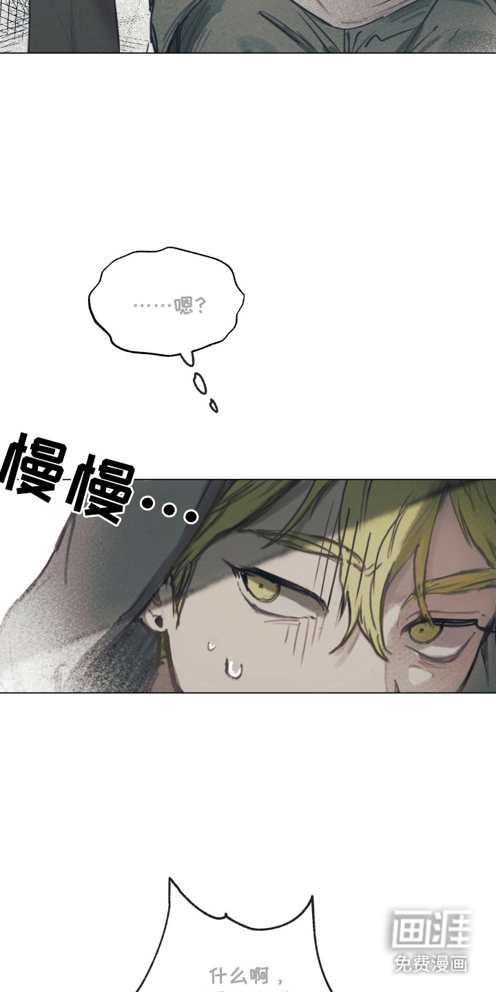 第2章：一见钟情