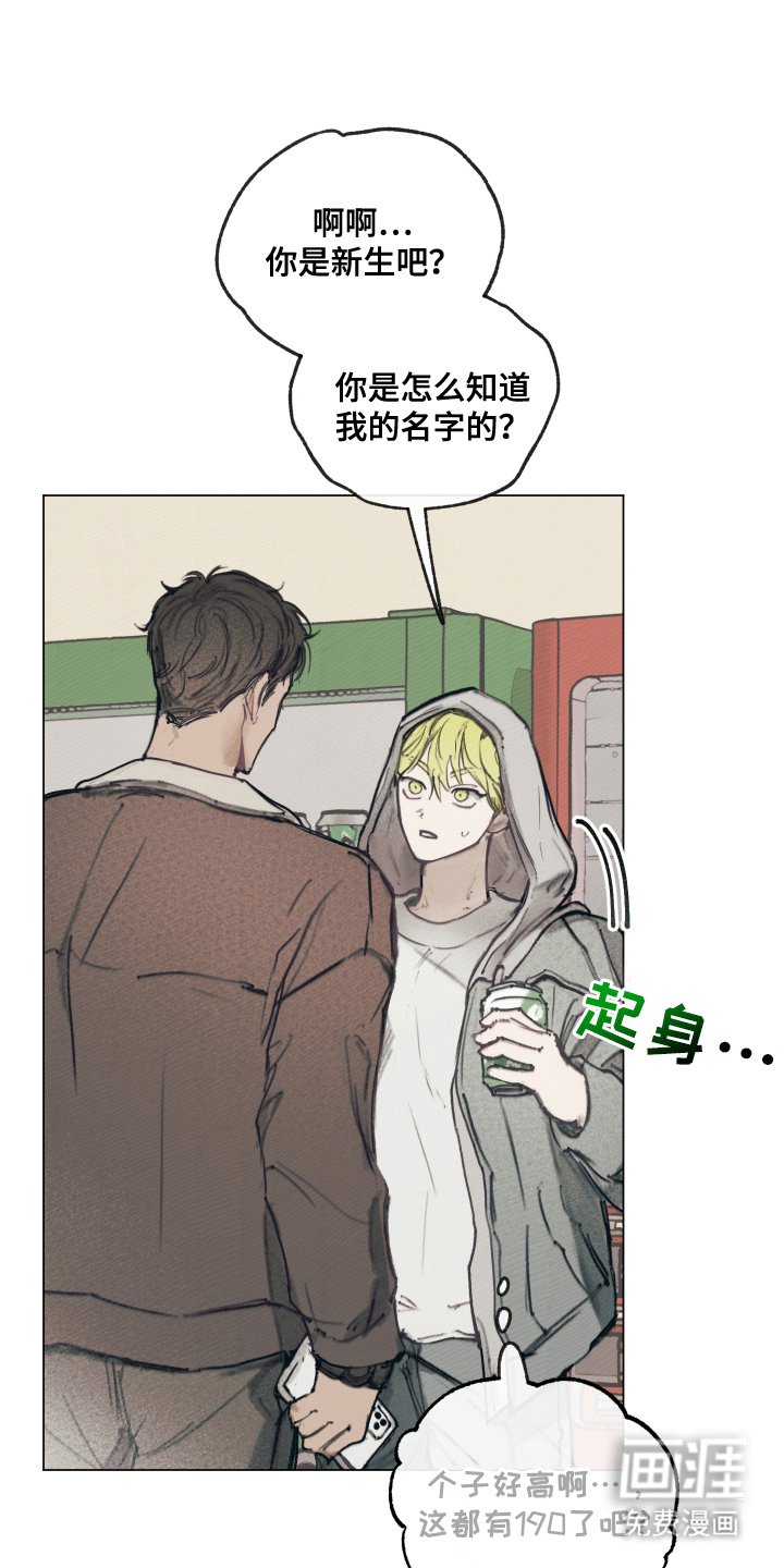 第2章：一见钟情