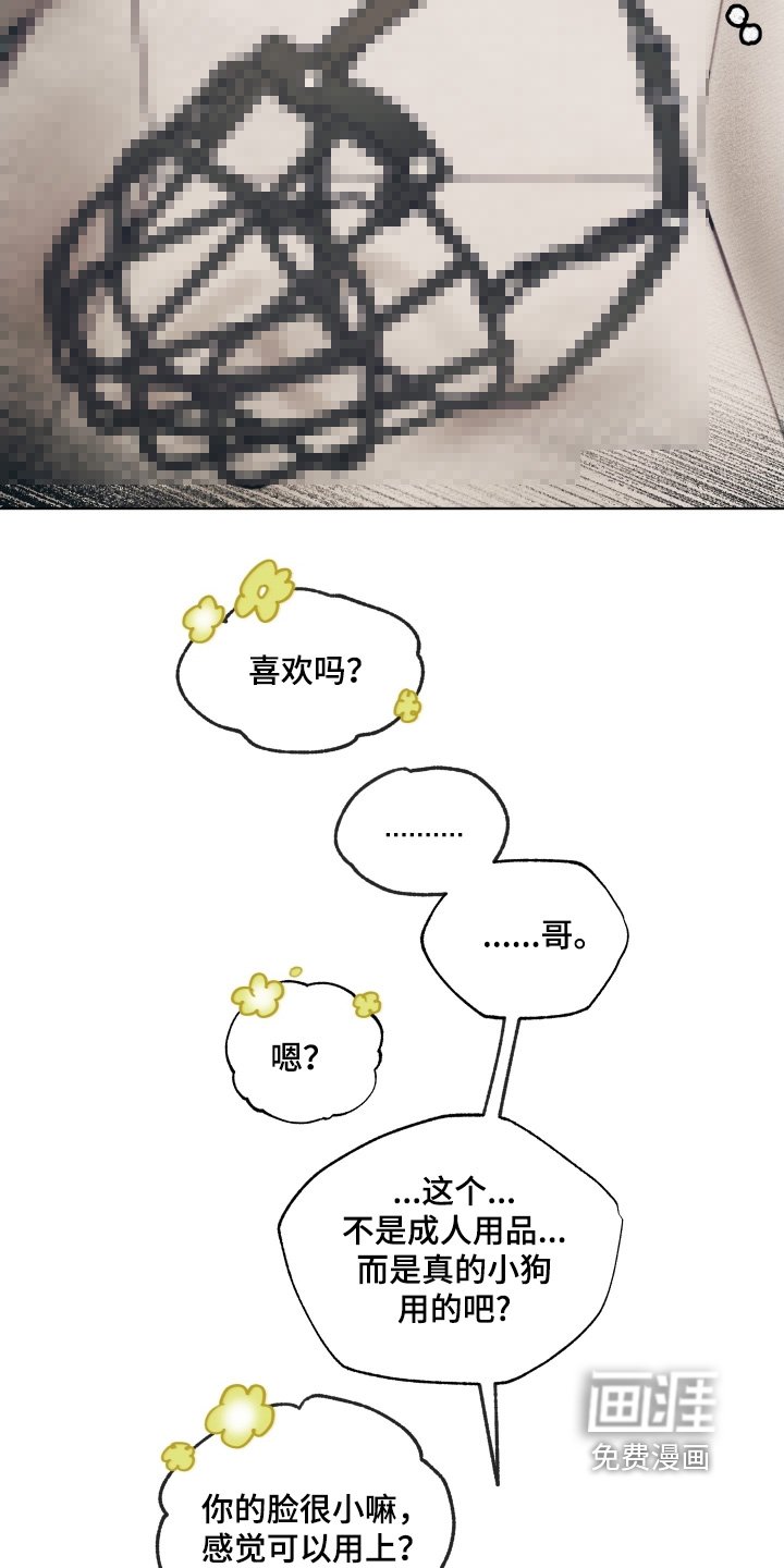 第26章：有什么礼物