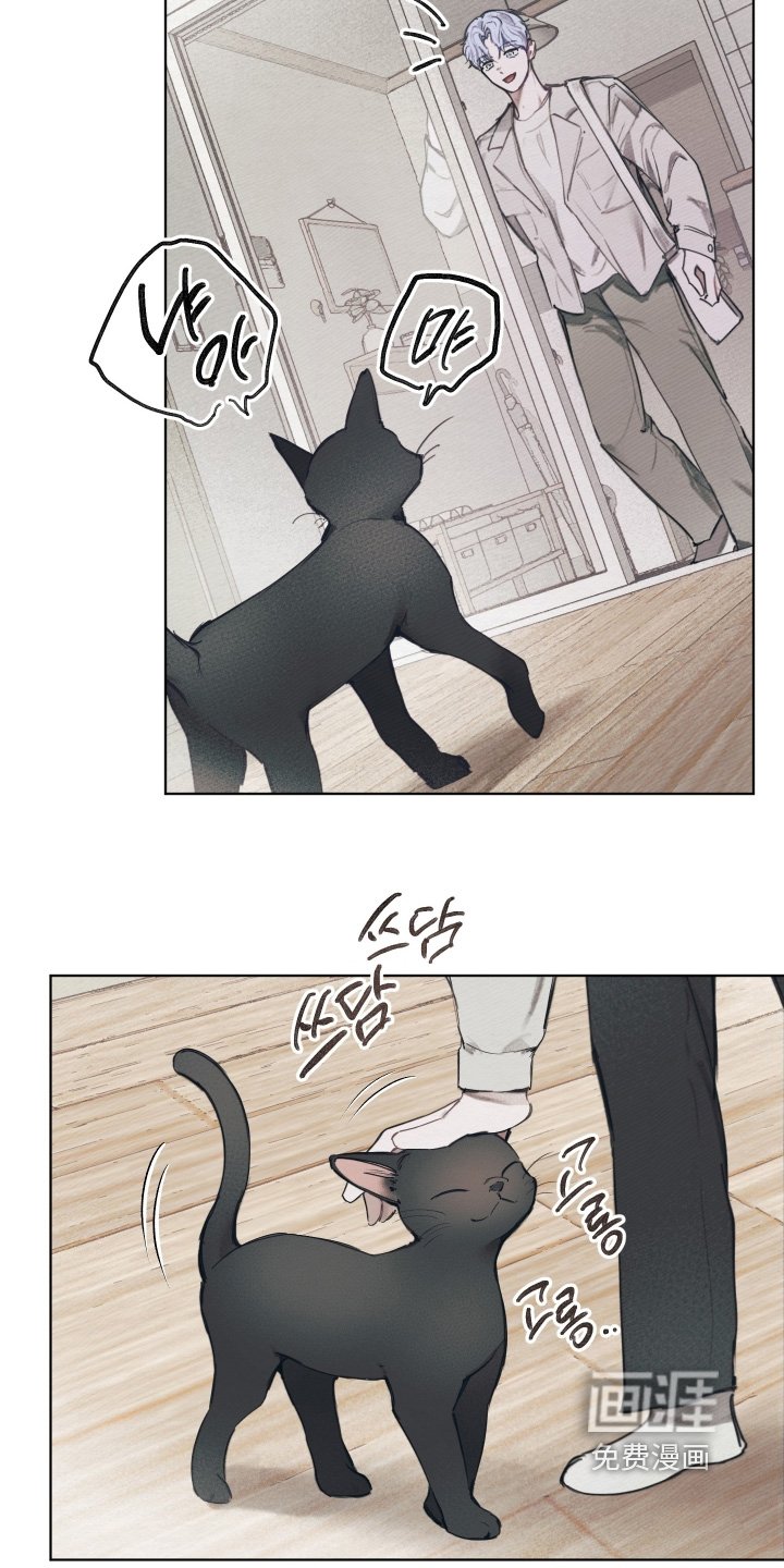 第29章：无用的东西