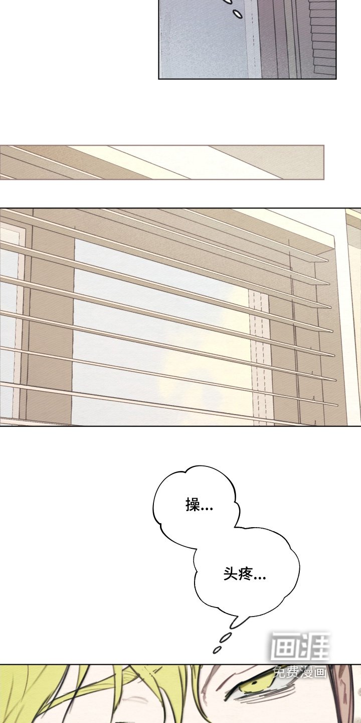 第35章：不记得了