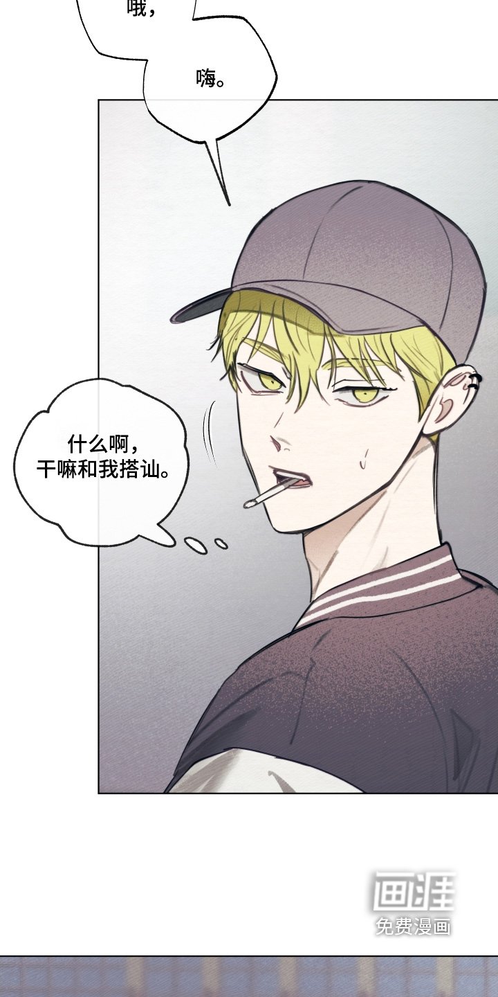 第39章：难道你喜欢他
