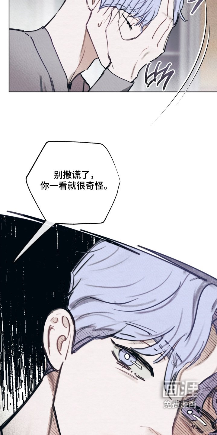 第39章：难道你喜欢他