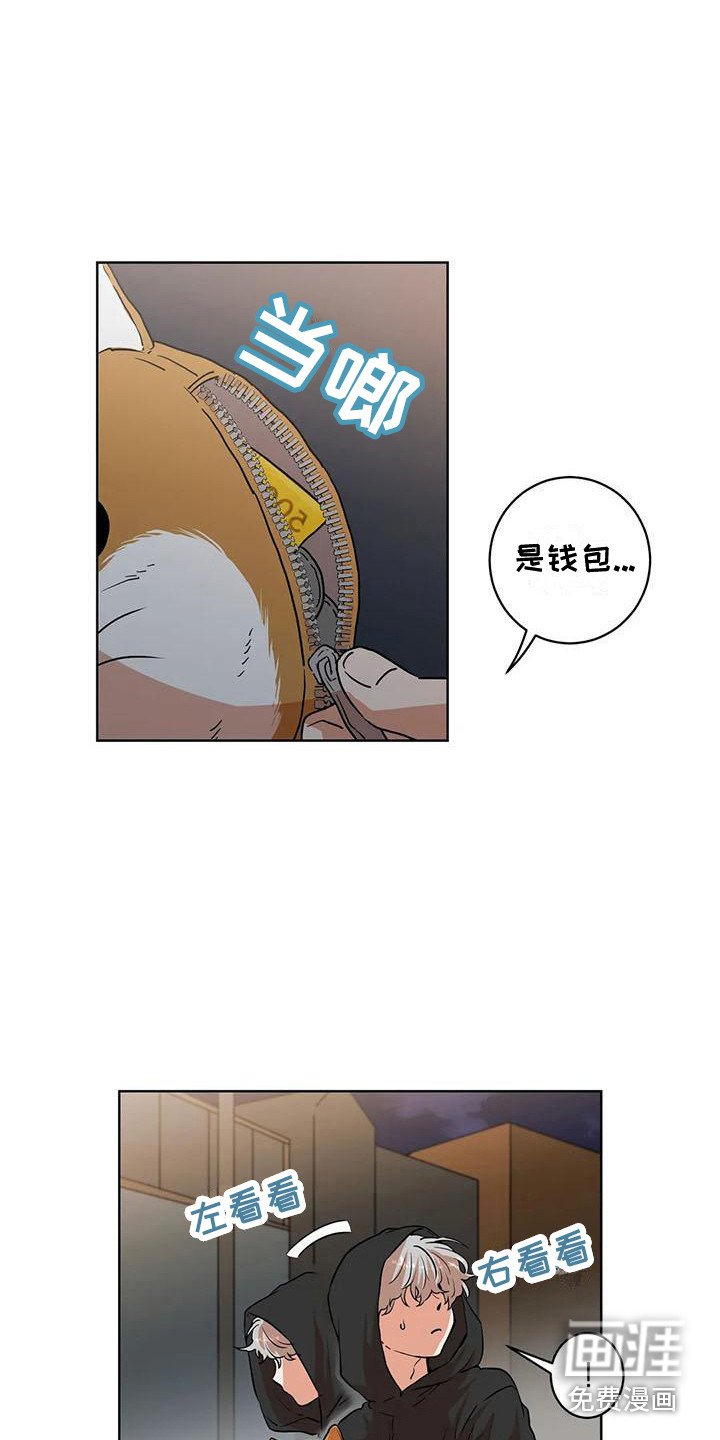 第20章：防狼喷雾