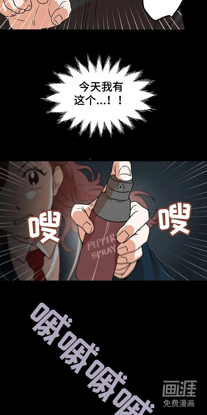 第20章：防狼喷雾