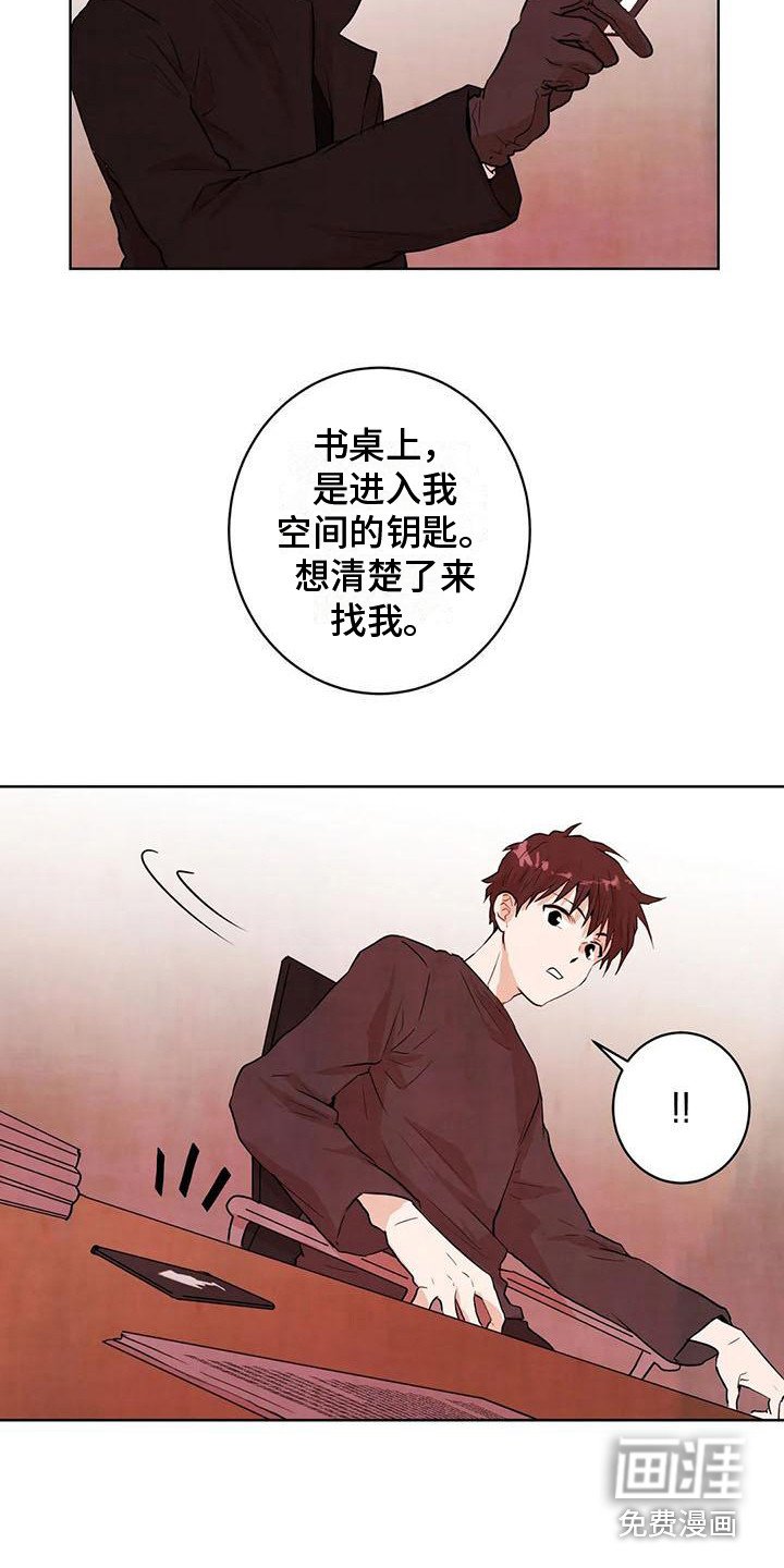 第29章：条件