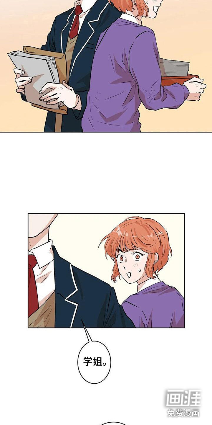 第29章：条件