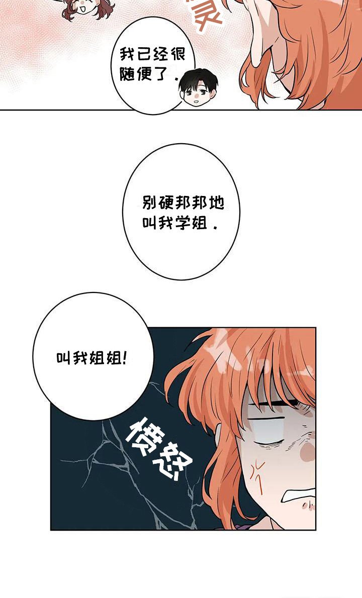 第29章：条件