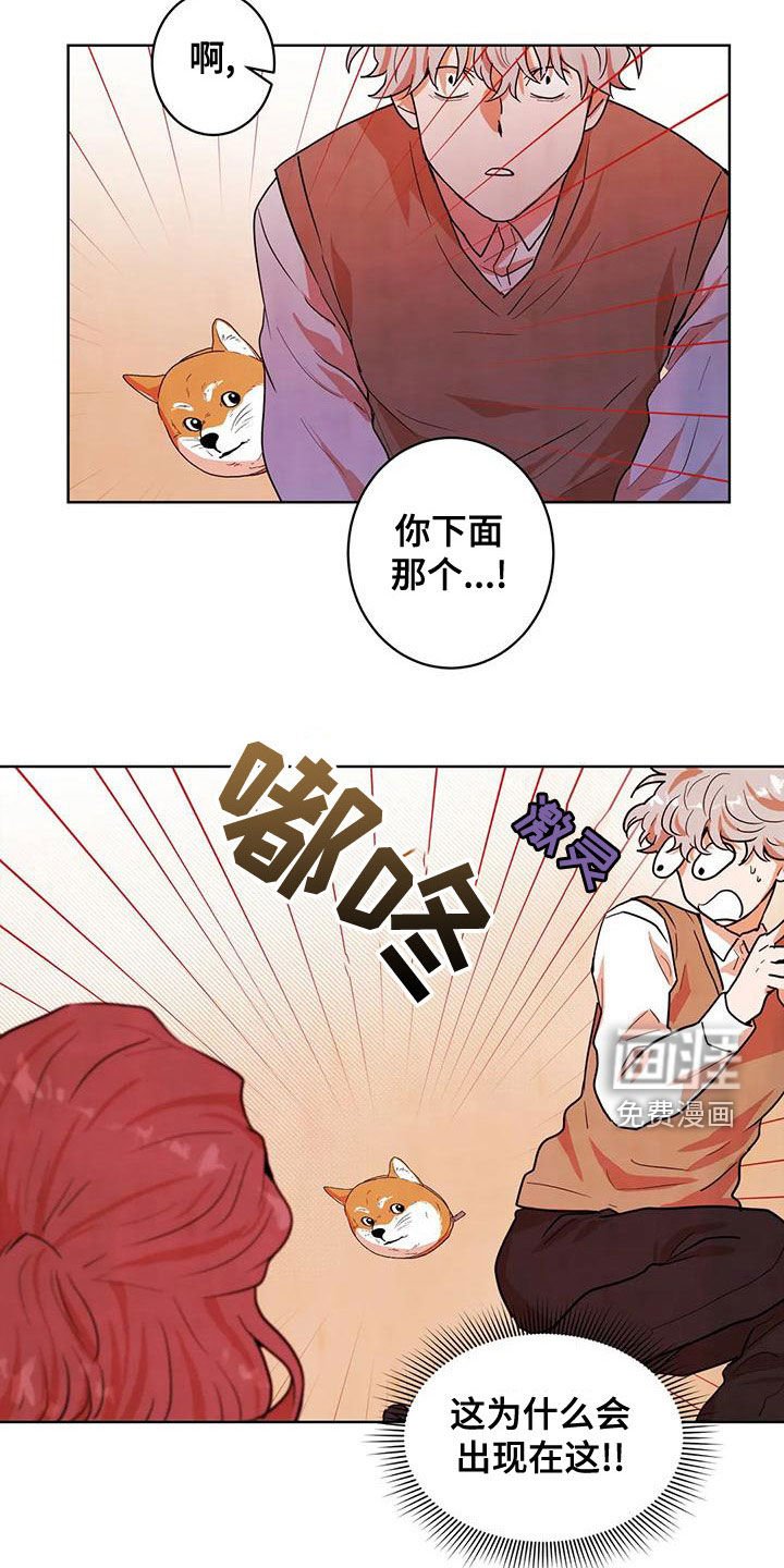 第43章：门