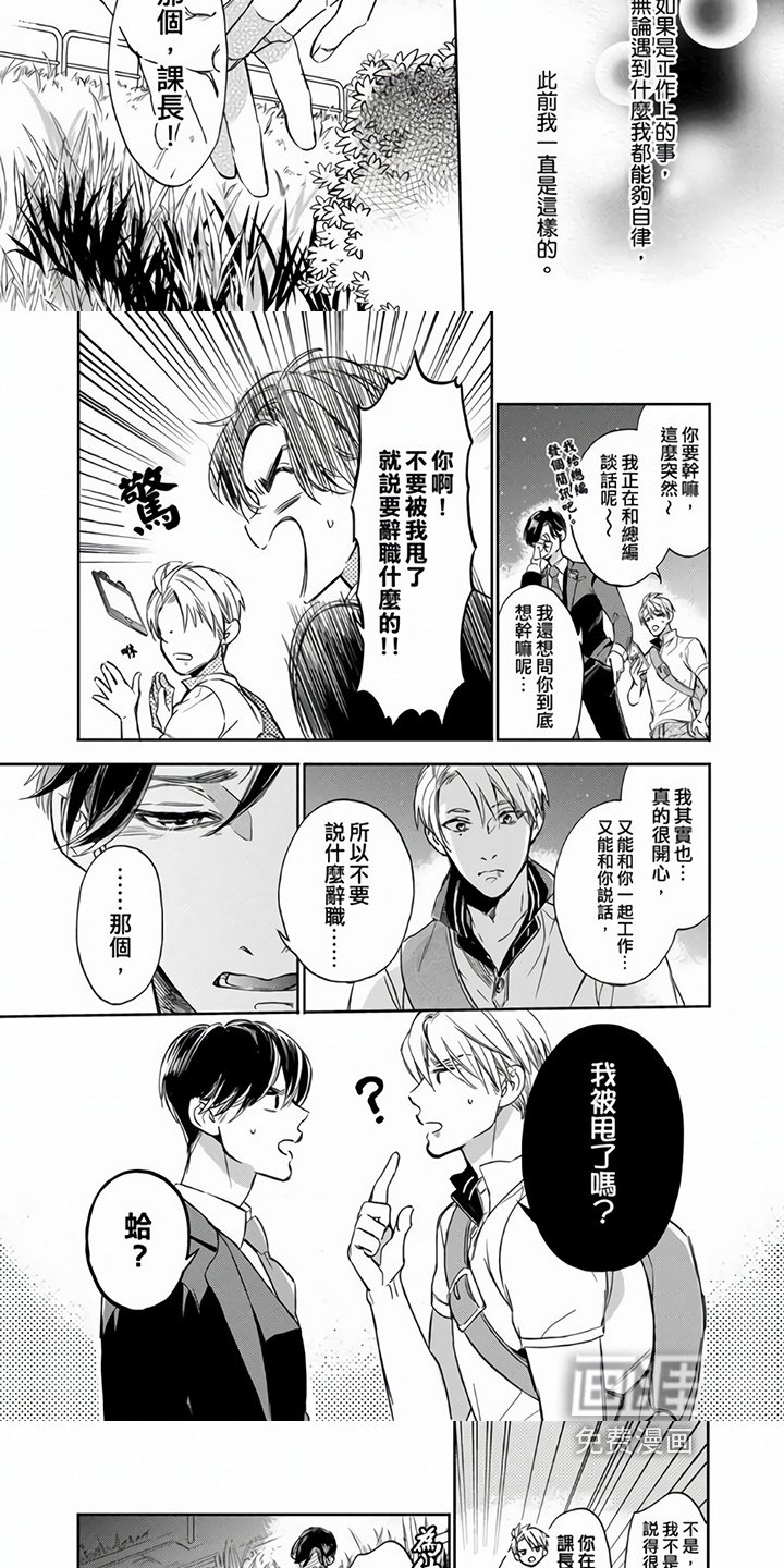 第12章：解释
