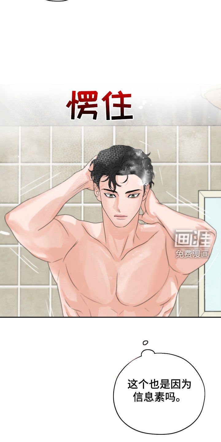 第31章：从未那么喜欢过
