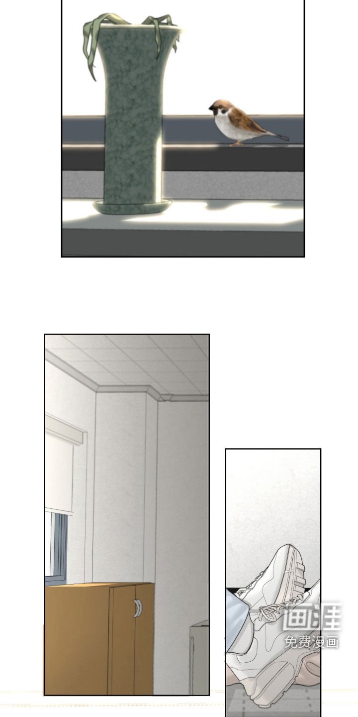 第35章：变种