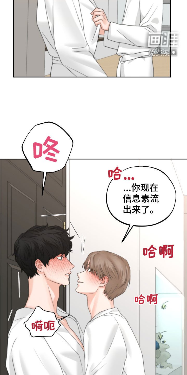 第43章：毫无理由