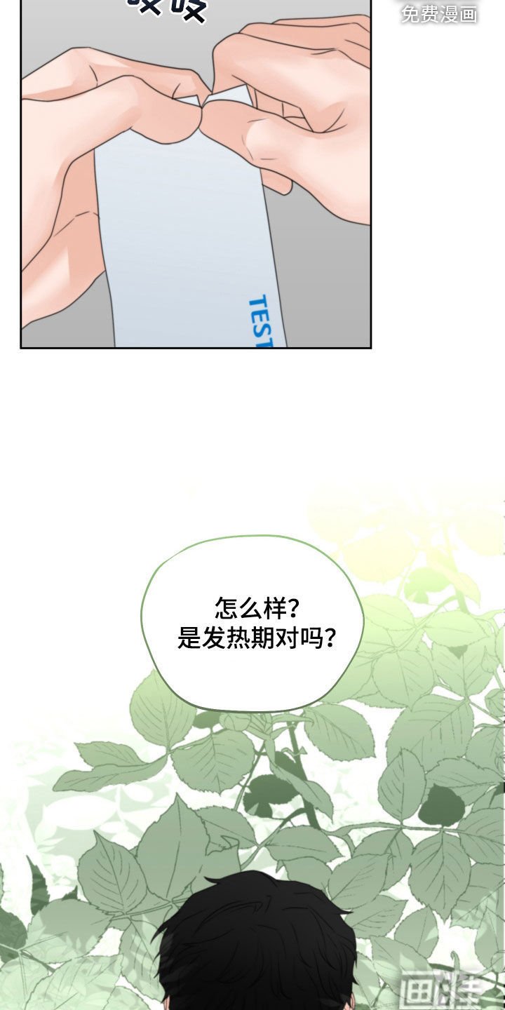 第44章：赌约
