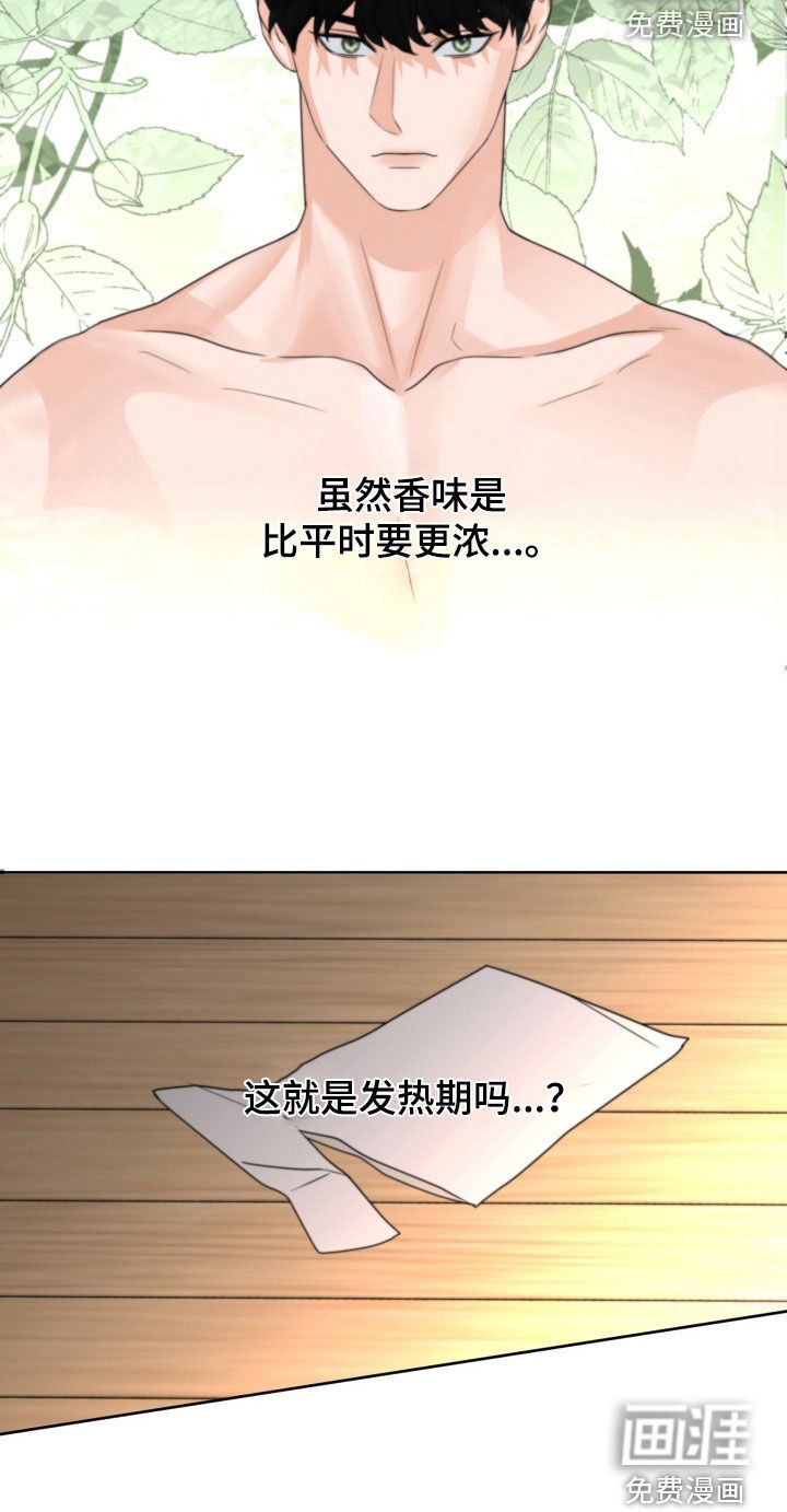 第44章：赌约