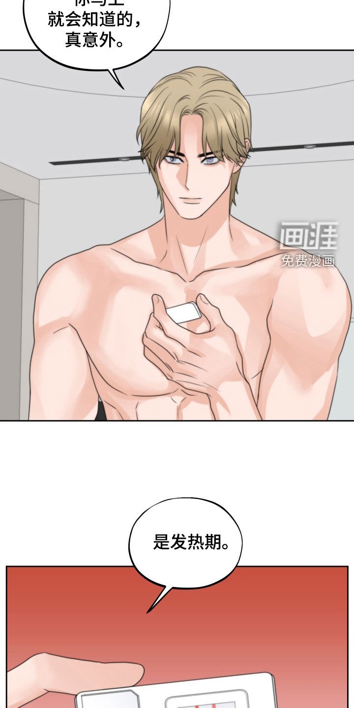 第44章：赌约