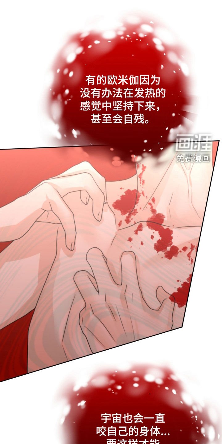 第44章：赌约