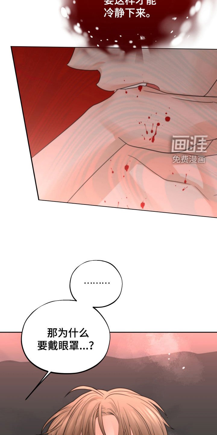 第44章：赌约