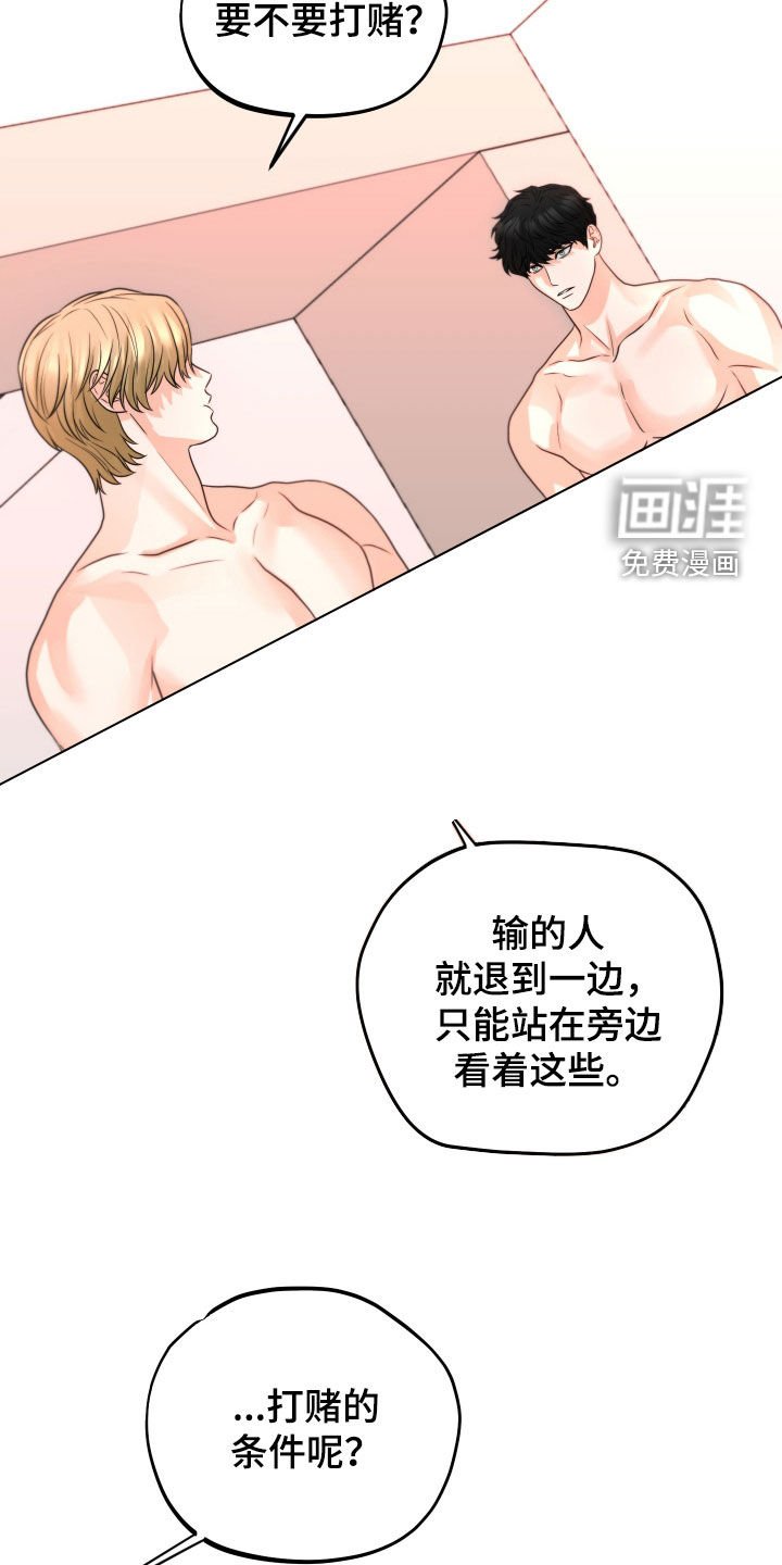 第44章：赌约