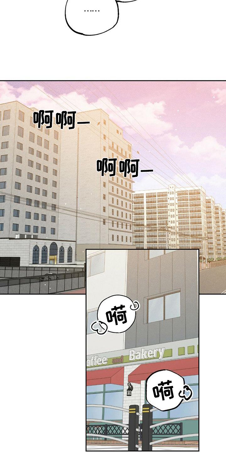 第3章：资料
