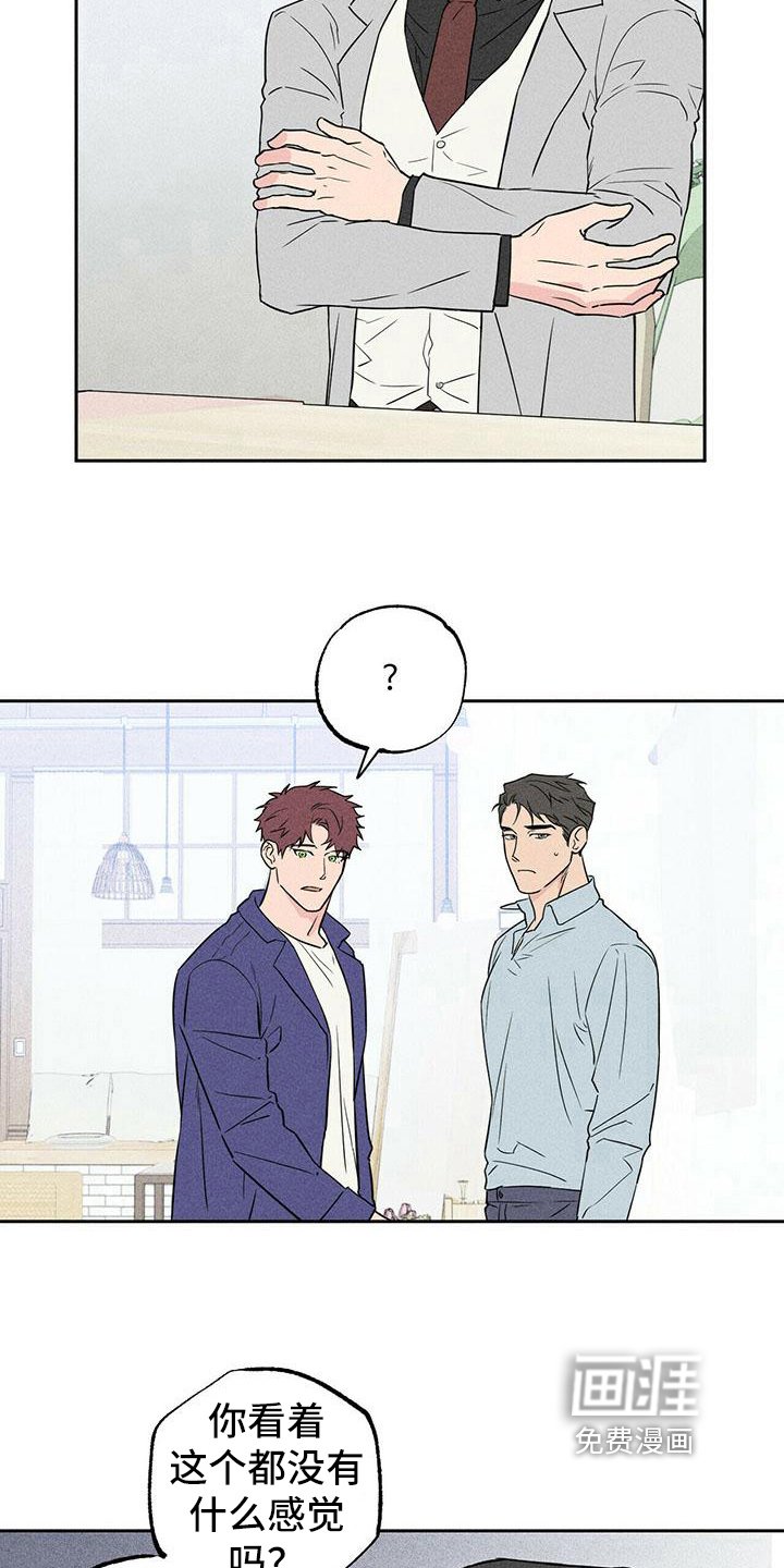 第6章：印象