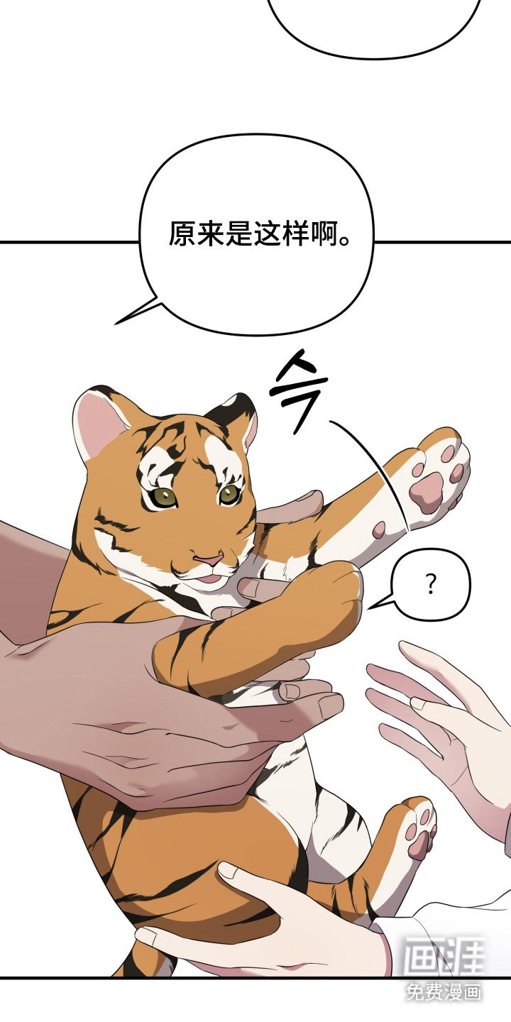 第10章：有爱心