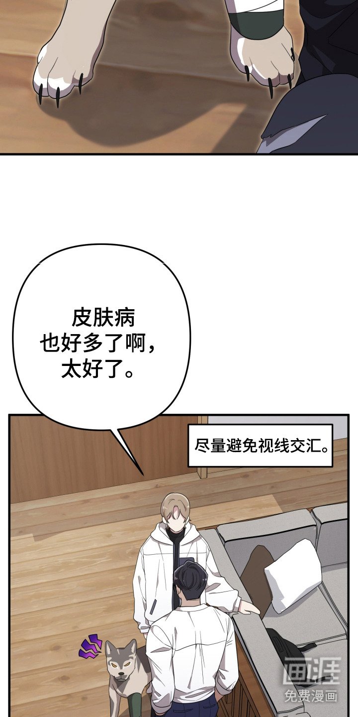 第11章：分散注意力