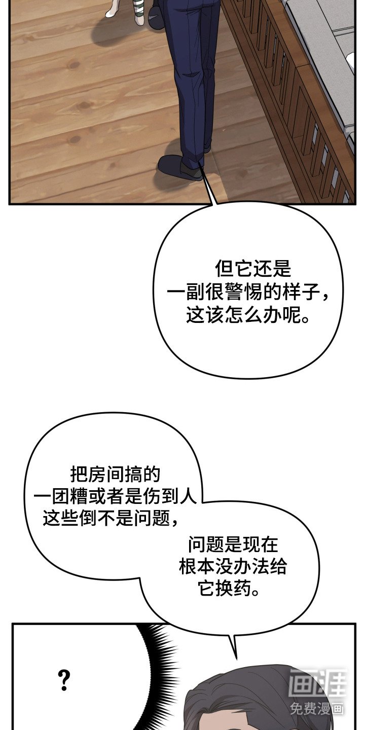 第11章：分散注意力