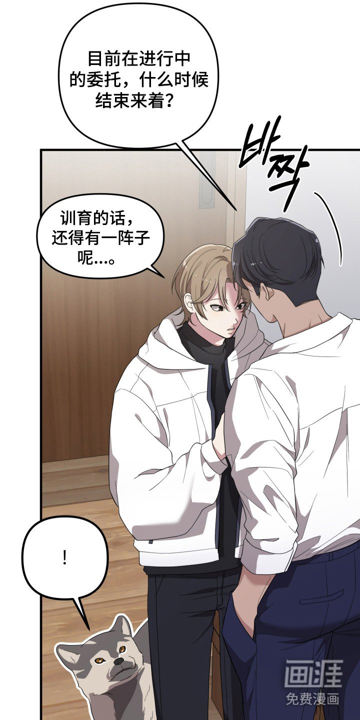 第11章：分散注意力