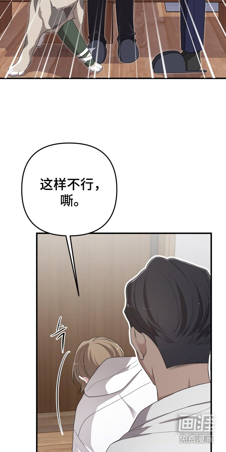 第11章：分散注意力