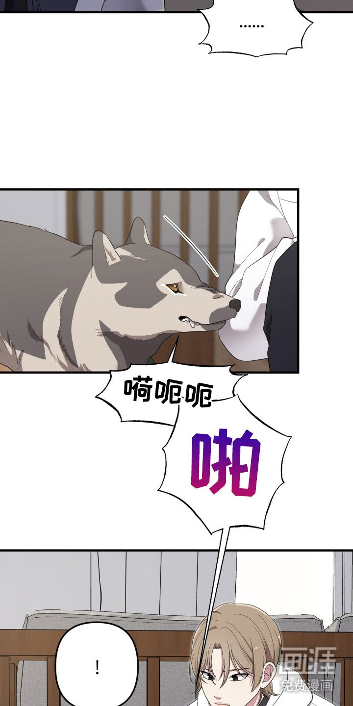 第11章：分散注意力
