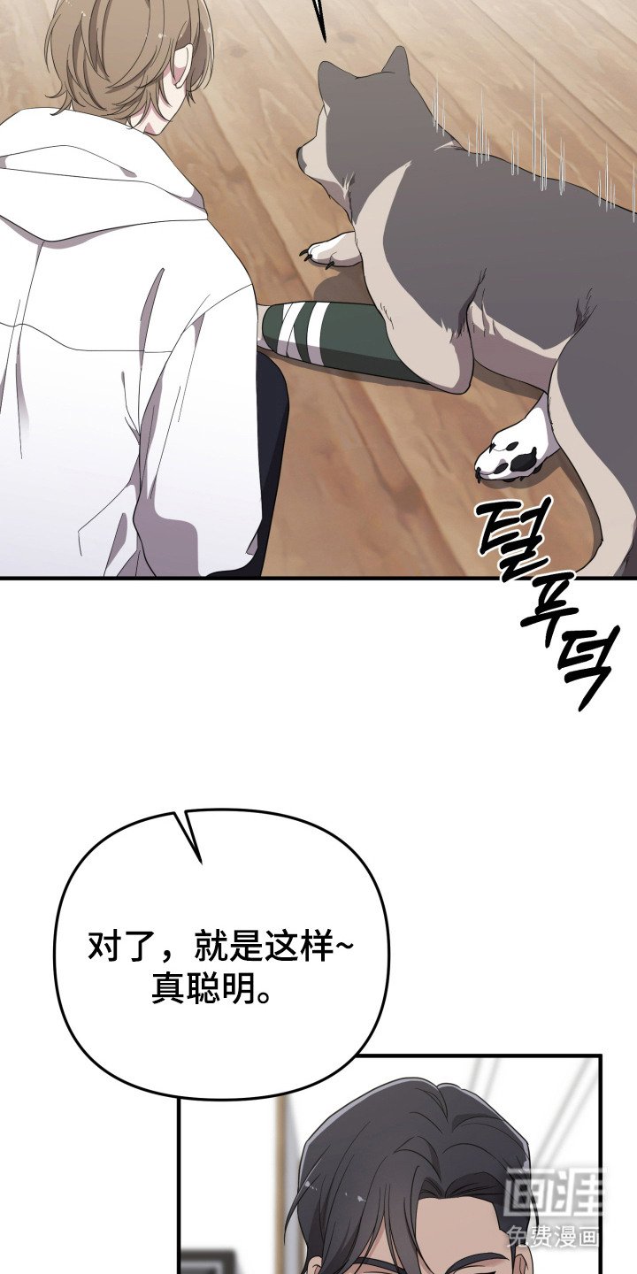 第11章：分散注意力