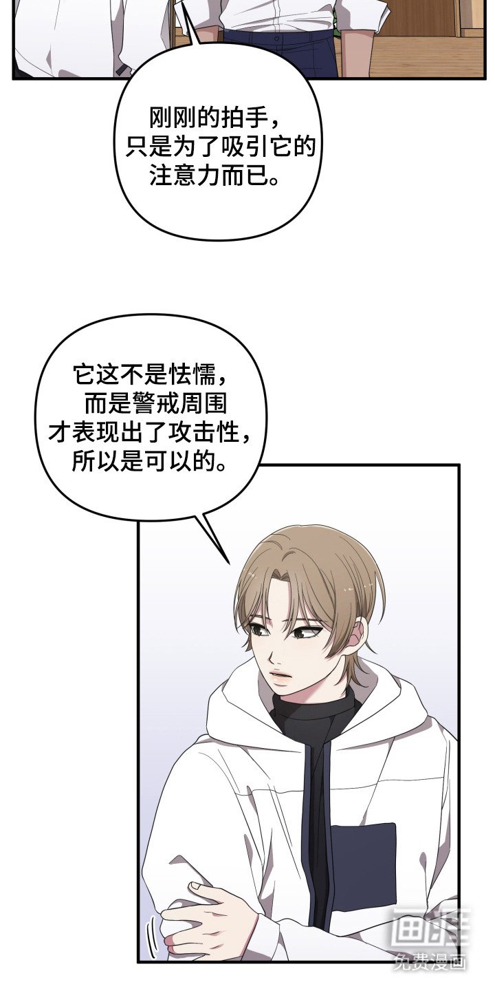 第11章：分散注意力