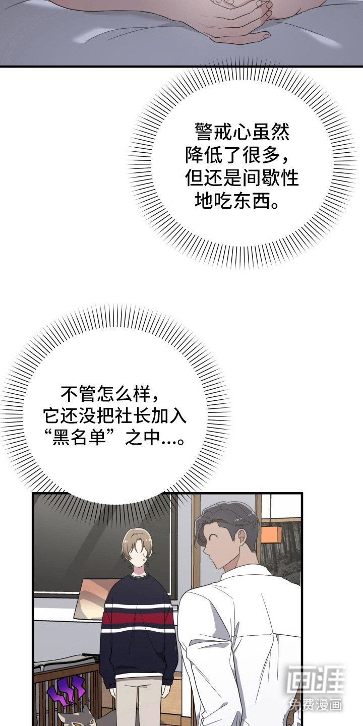 第15章：回想 