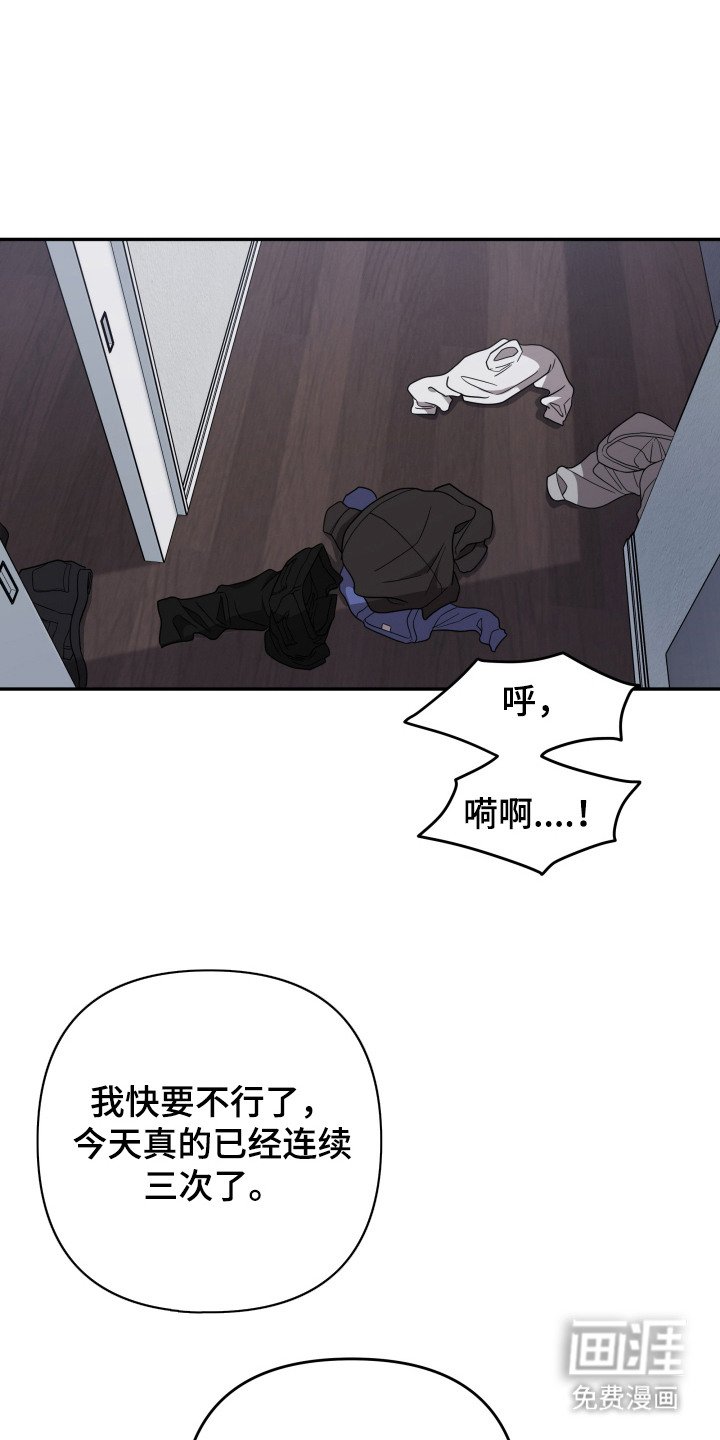 第2章：宠物管理
