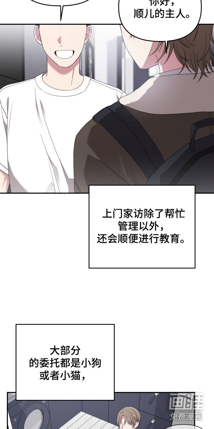 第2章：宠物管理